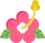 Hibiscus flower icon to represent Native Hawaiian and Pacific Islanders communities served.