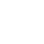 Group of three icon to represent ALICE Populations.