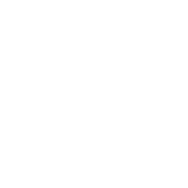Diploma icon to represent those with a high school diploma or equivalent.