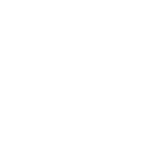 Hibiscus flower icon to represent Native Hawaiian and Pacific Islanders communities served.